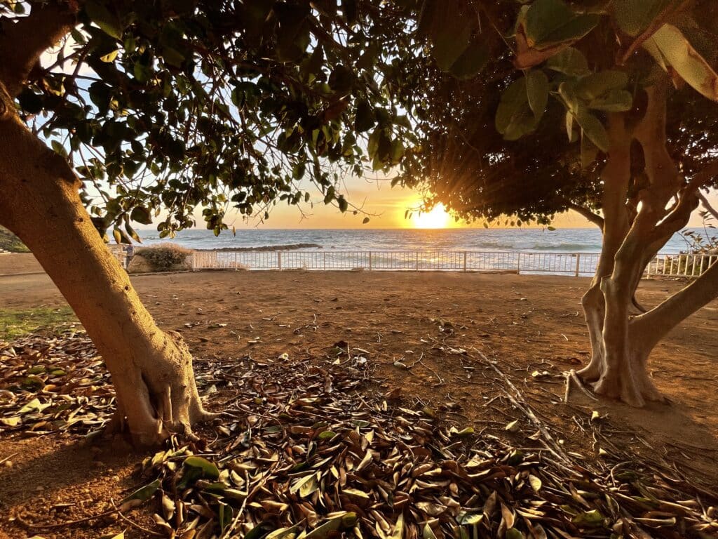 Sonnenuntergang in Paphos